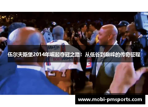 伍尔夫斯堡2014年崛起夺冠之路：从低谷到巅峰的传奇征程