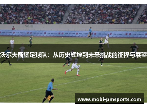 沃尔夫斯堡足球队：从历史辉煌到未来挑战的征程与展望