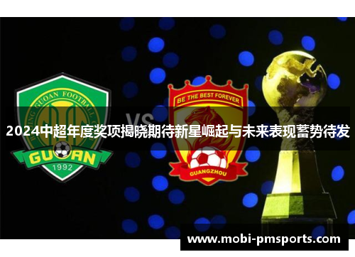 2024中超年度奖项揭晓期待新星崛起与未来表现蓄势待发