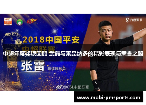 中超年度奖项回顾 武磊与莱昂纳多的精彩表现与荣誉之路