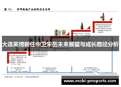 大连英博新任中卫宋岳未来展望与成长路径分析