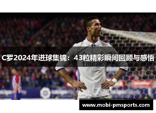 C罗2024年进球集锦：43粒精彩瞬间回顾与感悟