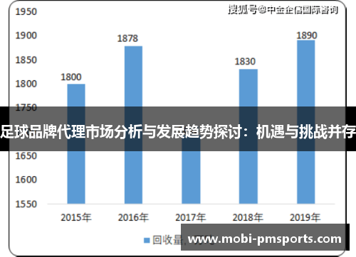 足球品牌代理市场分析与发展趋势探讨：机遇与挑战并存
