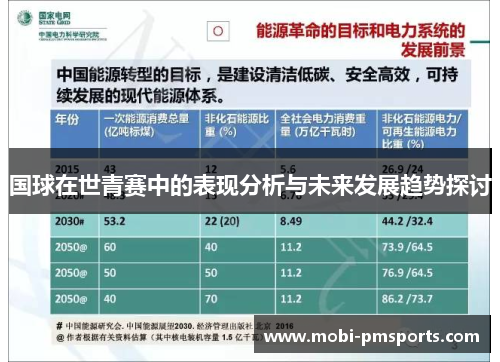 国球在世青赛中的表现分析与未来发展趋势探讨