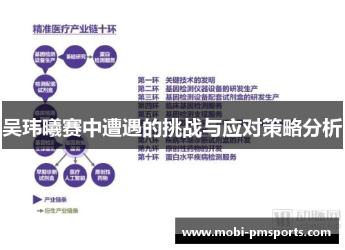 吴玮曦赛中遭遇的挑战与应对策略分析
