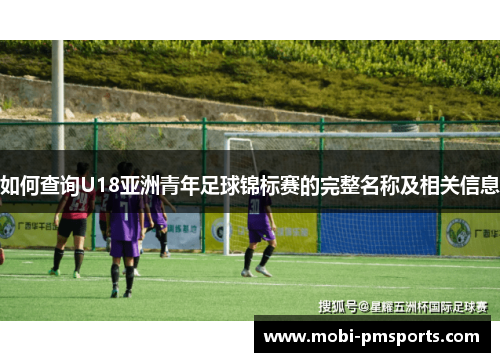 如何查询U18亚洲青年足球锦标赛的完整名称及相关信息