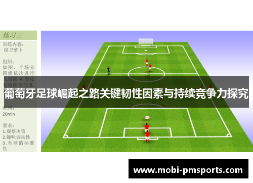 葡萄牙足球崛起之路关键韧性因素与持续竞争力探究