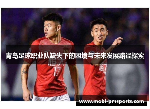 青岛足球职业队缺失下的困境与未来发展路径探索